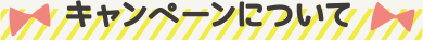キャンペーンについて