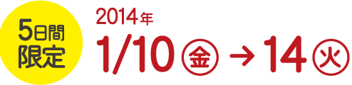 5日間限定