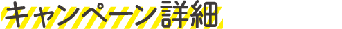 キャンペーン詳細