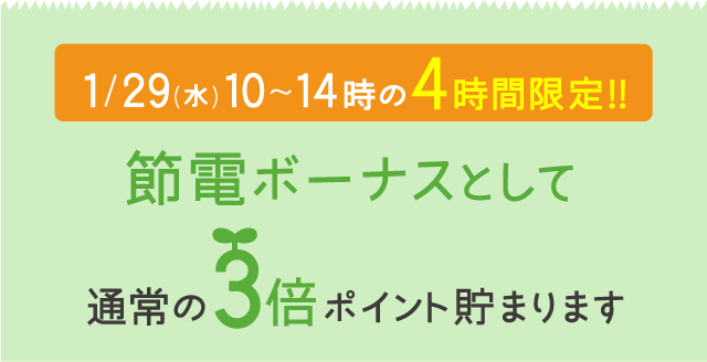 1/29(水)10〜14時の4時間限定!!