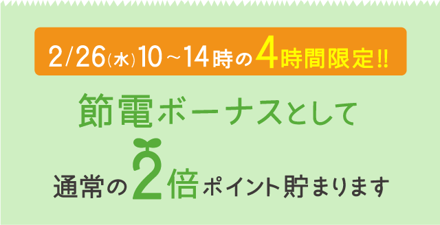 2/26(水)10〜14時の4時間限定!!