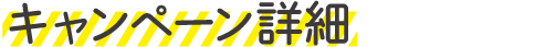 キャンペーン詳細